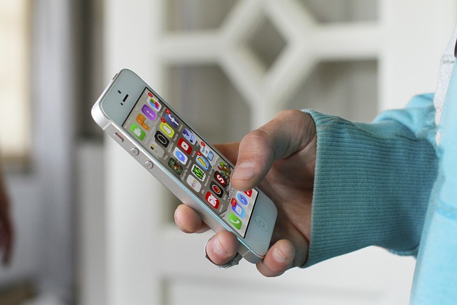 search and discovery app shopify