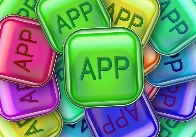 search and discovery app shopify
