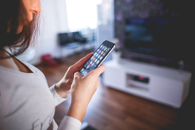 search and discovery app shopify