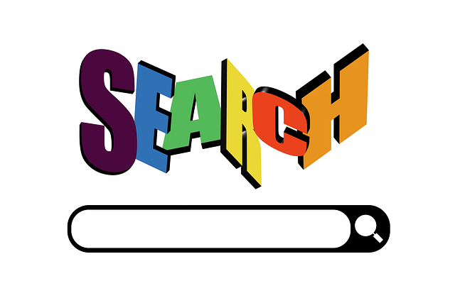 woocommerce search