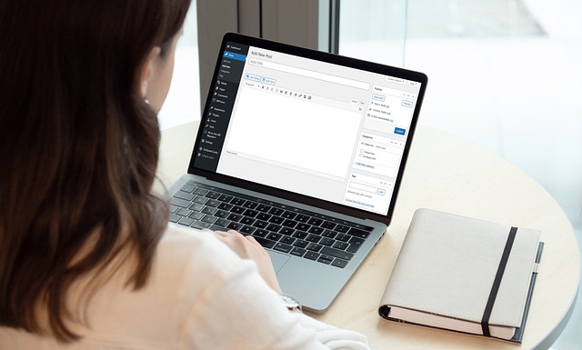 wordpress plugin chatbot