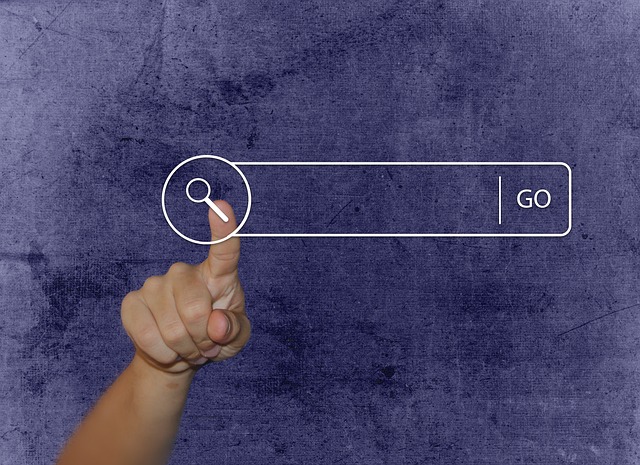 wordpress plugin for search