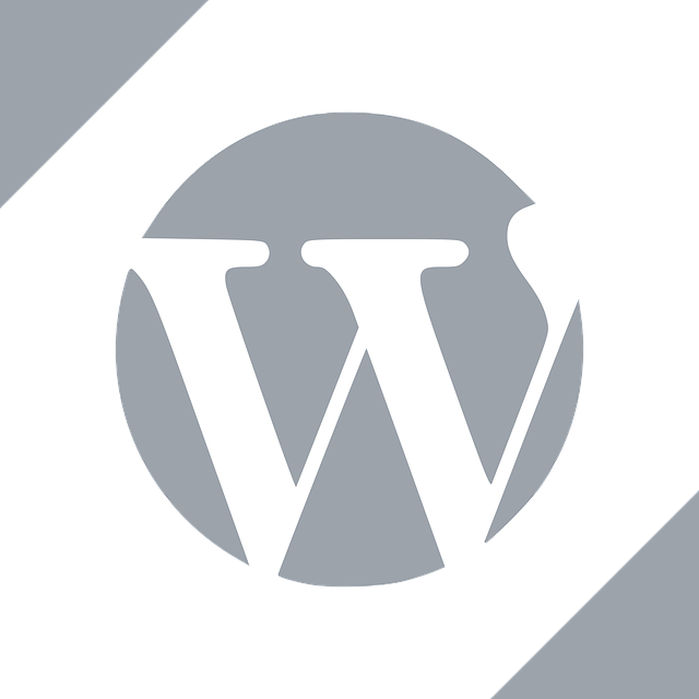 wordpress search