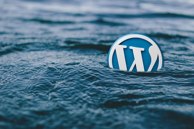 wordpress search plugin