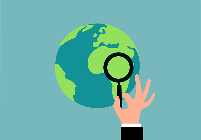 wordpress plugin for search