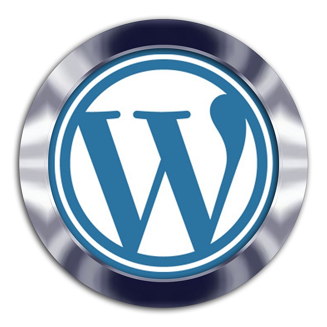 wordpress search