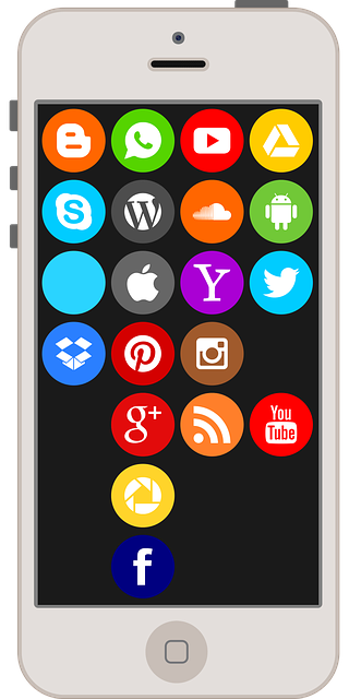 search and discovery app shopify