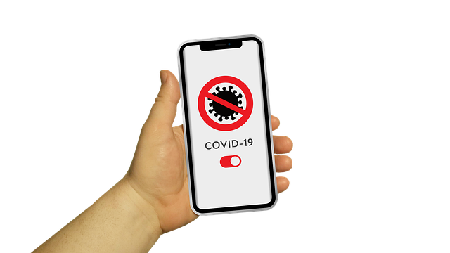 search and discovery app shopify