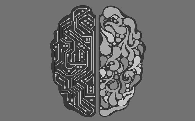 what is search intelligence