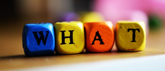 what is search intelligence