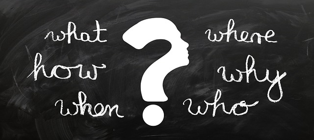 what is search intelligence