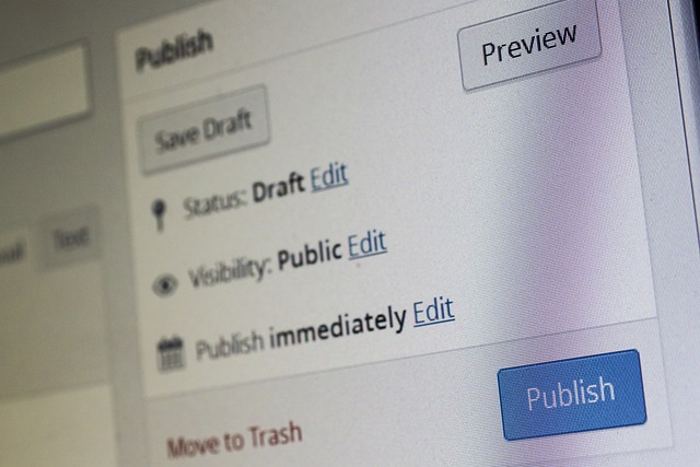 wordpress plugin for search