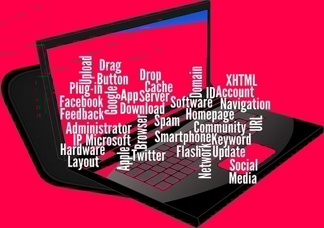 wordpress plugin for search
