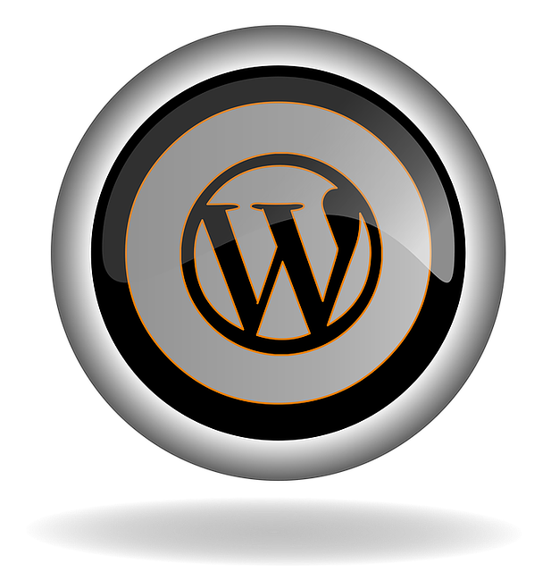 wordpress search