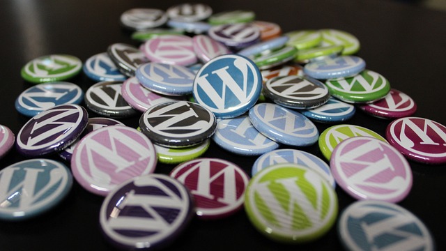 wordpress search plugin