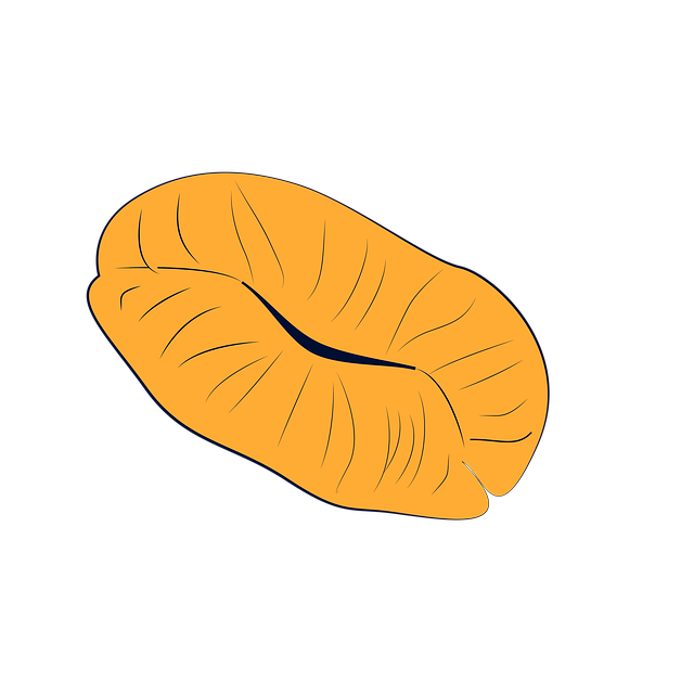 lip liner