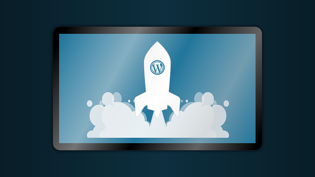 wordpress plugin for search