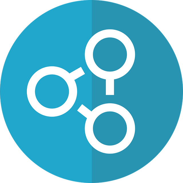 bigcommerce advanced search
