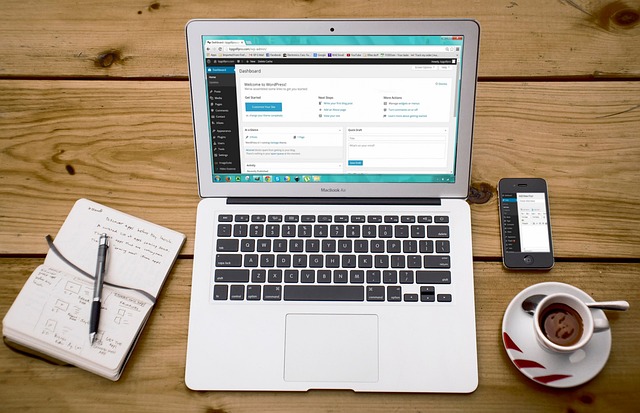 chatbot for wordpress, ochatbot