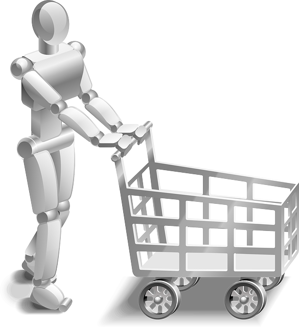 ecommerce site search