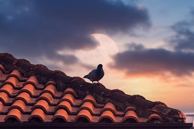 roofing contractors that finance