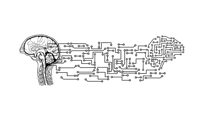 search intelligence platform