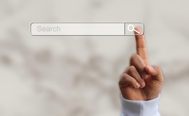 search intelligence platform