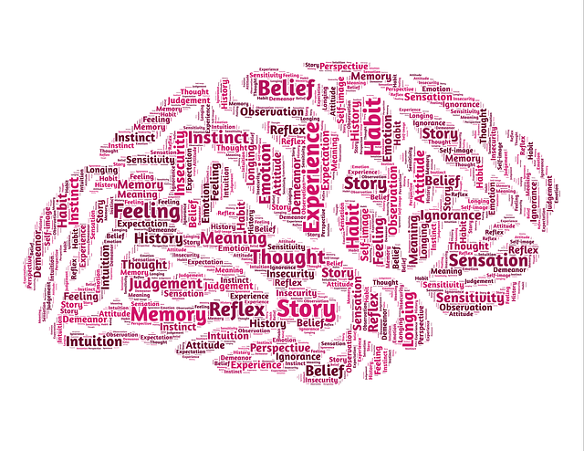 search intelligence solution