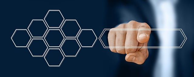woocommerce product search