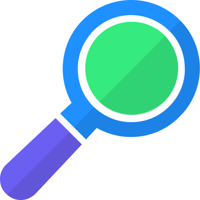 woocommerce search