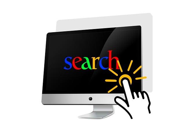 woocommerce search