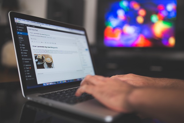wordpress chatbot, ochatbot