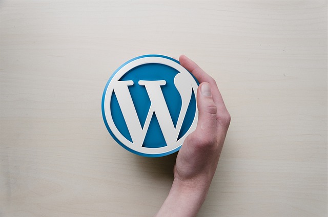 wordpress plugin chatbot