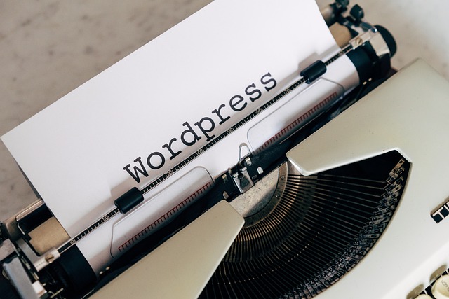 wordpress plugin chatbot