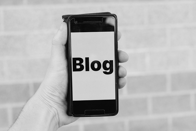wordpress plugin chatbot
