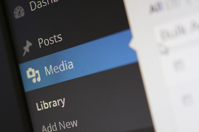 wordpress plugin chatbot
