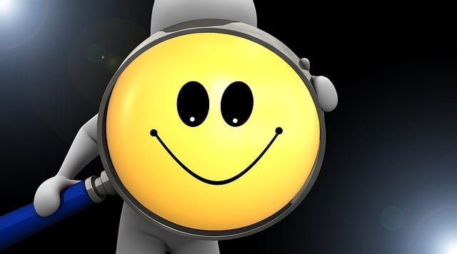 wordpress plugin for search