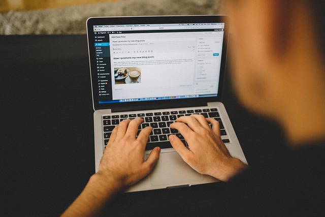 wordpress plugin for search