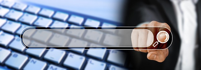 wordpress search plugin