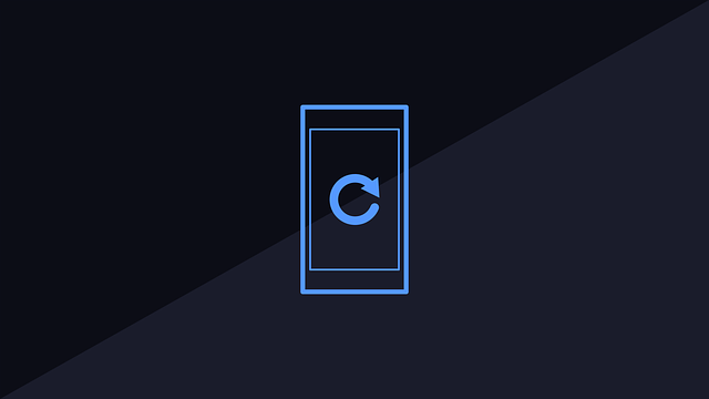 search app shopify