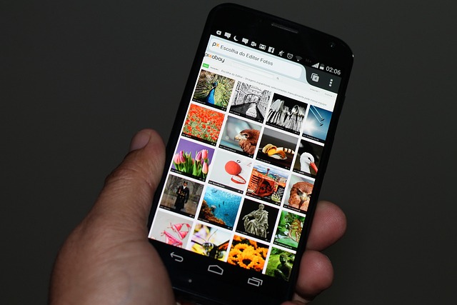 search app shopify