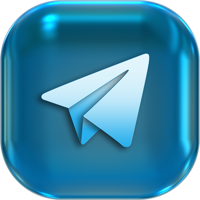 search app shopify
