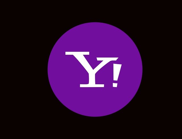 woocommerce search