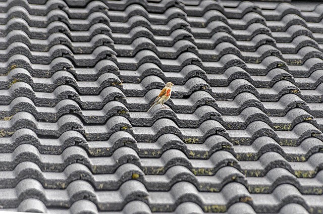 roofing contractors that finance