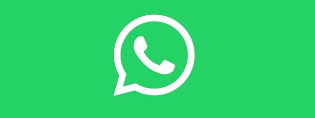 search app shopify