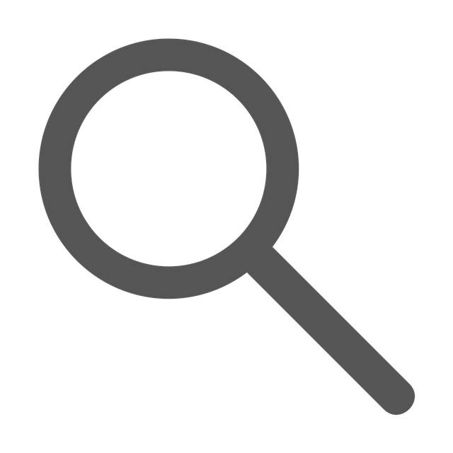 woocommerce search