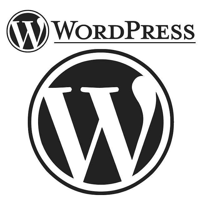 wordpress search plugin