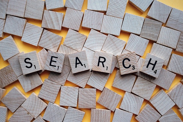 what is search intelligence