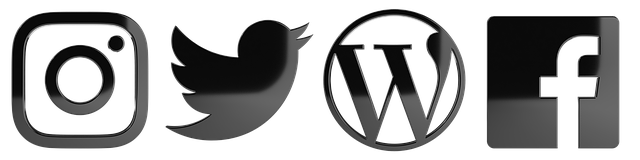 wordpress chatbot, ochatbot