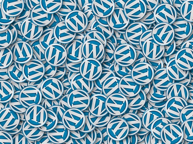 wordpress search